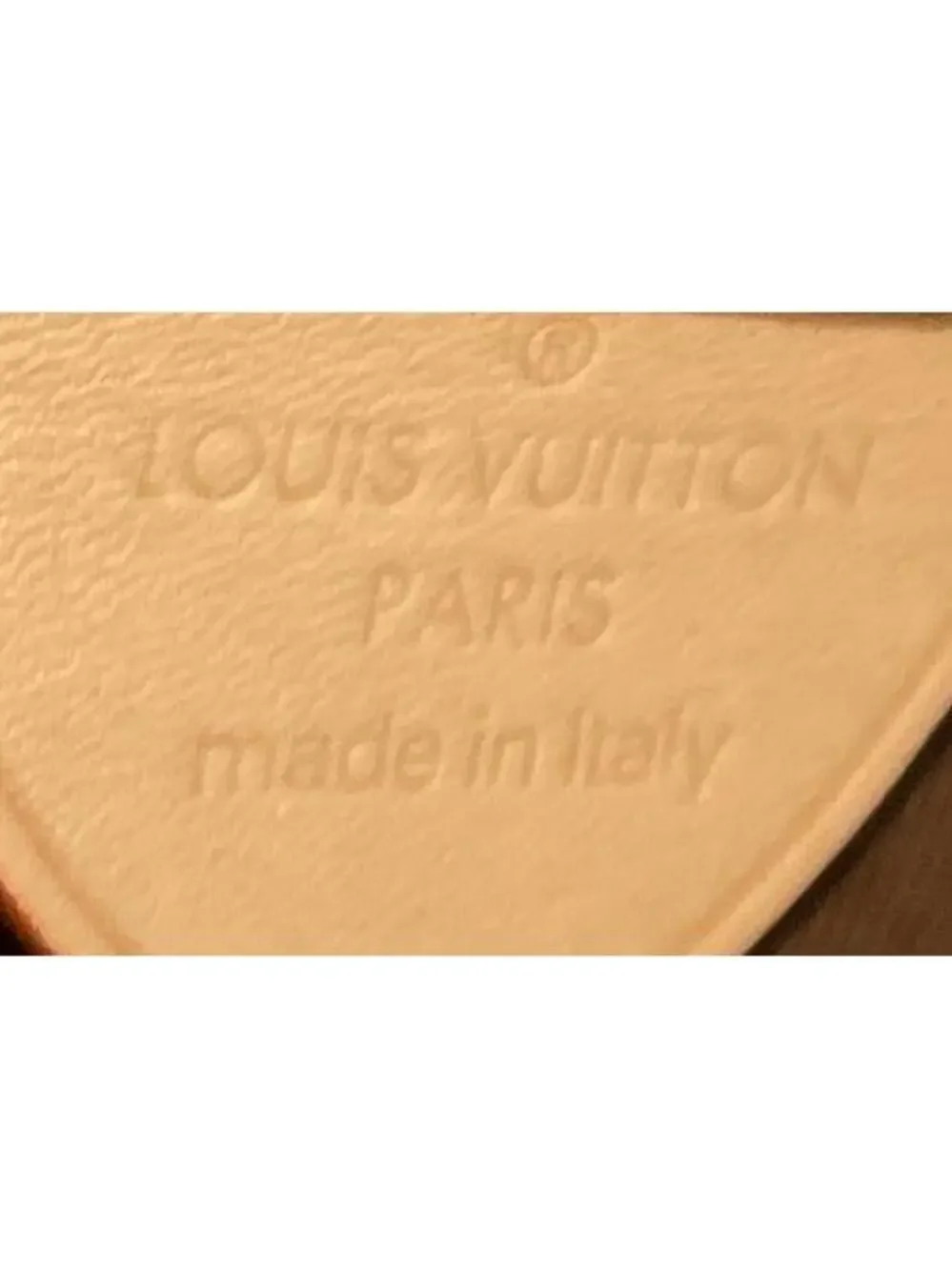 Louis Vuitton Atlantis Handbag Canvas #339338L24B